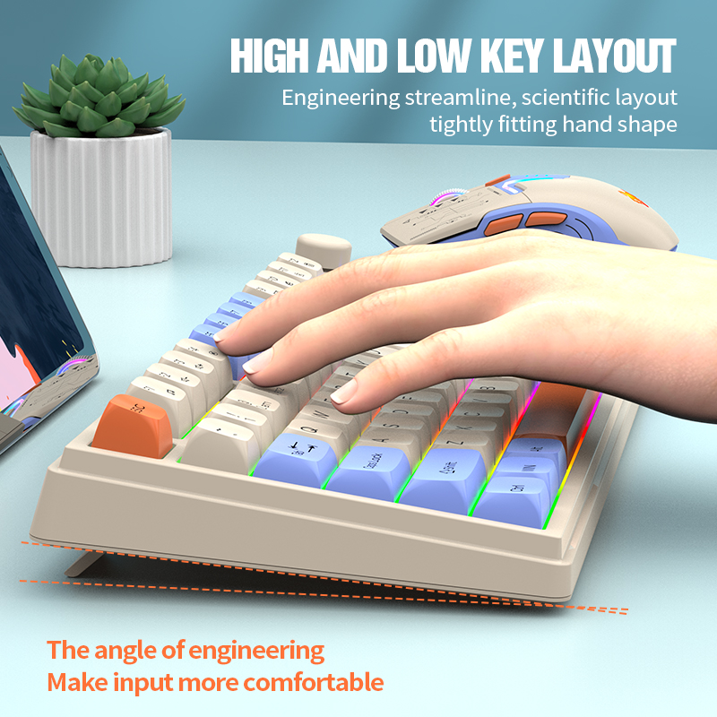 New Dual-Mode 80 Keys Wireless - Gaming Keyboard And Mouse Combo avis et prix