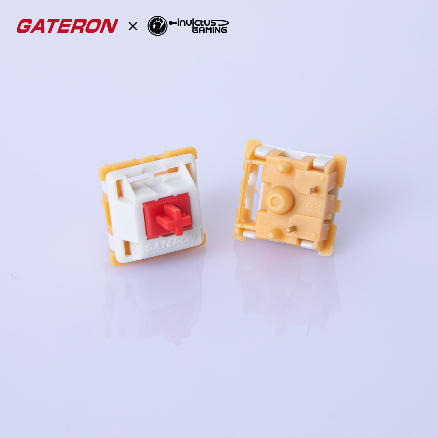 GATERON Mini i Switch Ahead Ta - Gaming Keyboard Mini Mechanical avis et prix